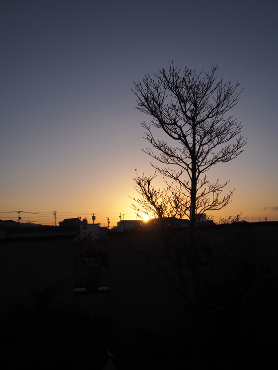 b0194267_17392594.jpg