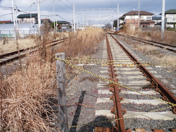 c0325468_14360886.jpg