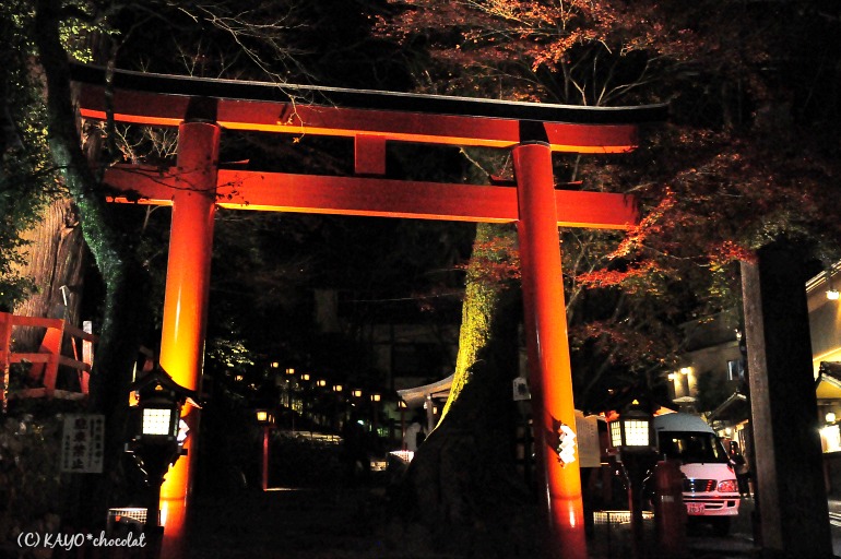 夜の貴船神社・夢守火参り（11月27日：その3）（白龍園・ドアノー展・貴船）_a0112972_17355911.jpg