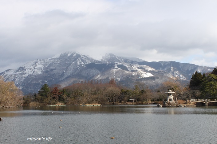 冬の三島池ﾟヽ(´∀`｡)ﾉﾟ.:｡ _e0283472_20581151.jpg