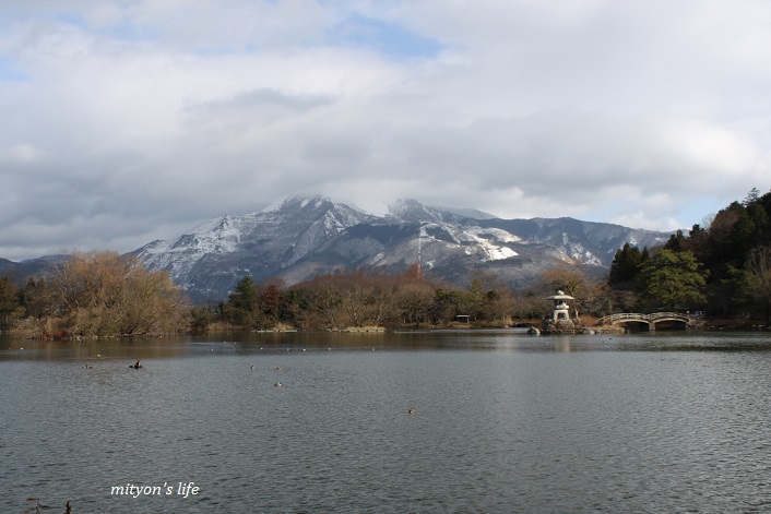 冬の三島池ﾟヽ(´∀`｡)ﾉﾟ.:｡ _e0283472_2112931.jpg