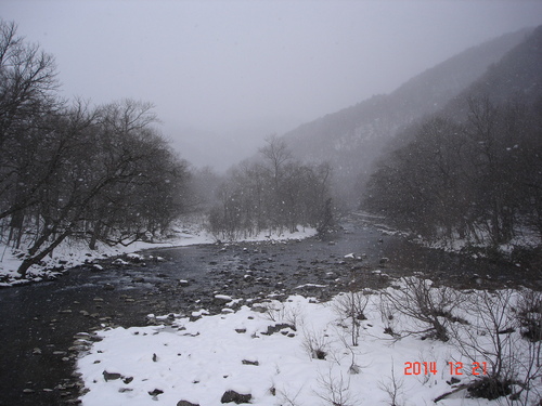 奥入瀬渓流　今朝は小雪が舞ってます_d0165378_9393953.jpg