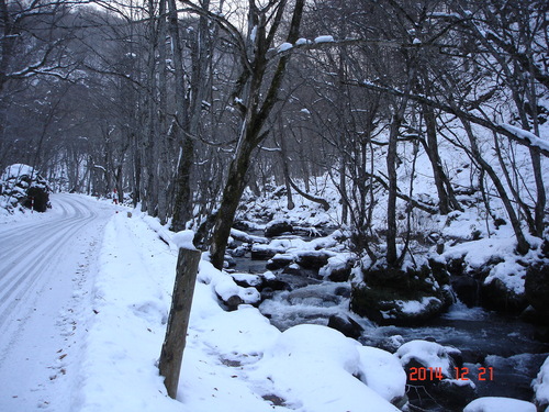 奥入瀬渓流　今朝は小雪が舞ってます_d0165378_9403078.jpg