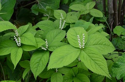 c0229483_0293710.jpg