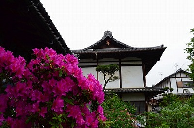 c0229483_0311850.jpg