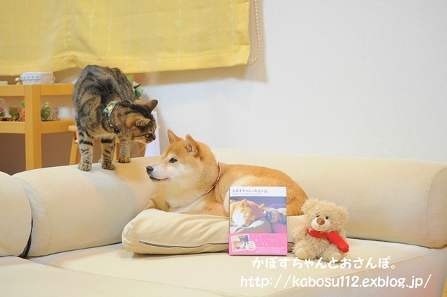 エキサイトブログCAFE_a0126590_09303564.jpg