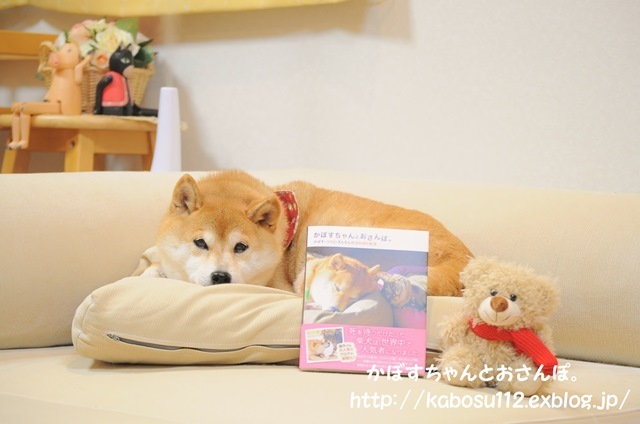 エキサイトブログCAFE_a0126590_09304695.jpg