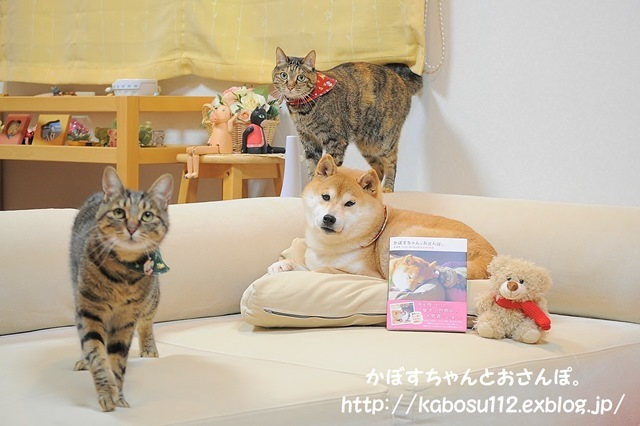 エキサイトブログCAFE_a0126590_09305205.jpg