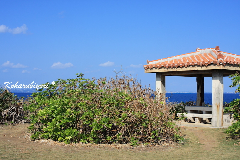 b0316791_00041103.jpg
