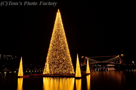 富山散歩～県東部323～環水公園、水上のクリスマスツリー_b0155692_18212371.jpg