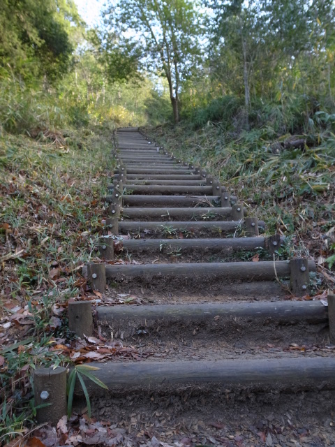 備中　福山城跡ハイキング＠岡山県総社市清音三因_f0197703_13515150.jpg