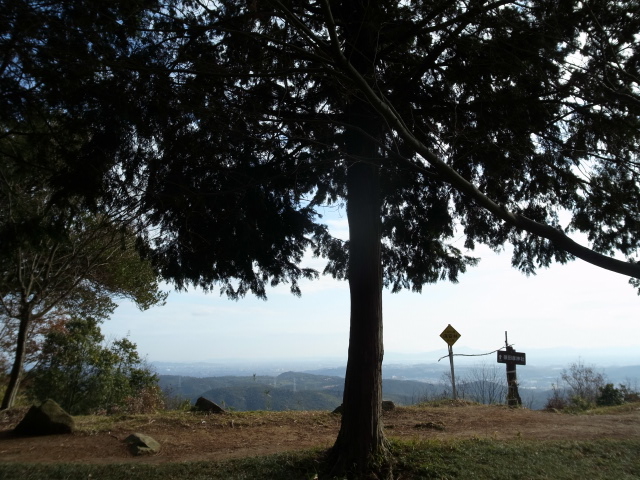 f0197703_13591399.jpg