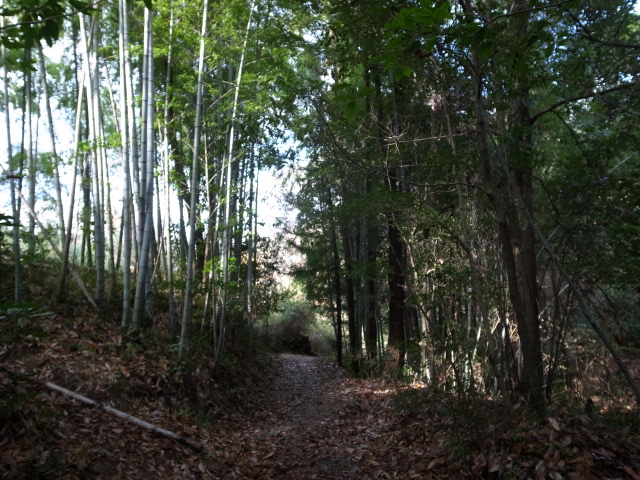 備中　福山城跡ハイキング＠岡山県総社市清音三因_f0197703_1455172.jpg