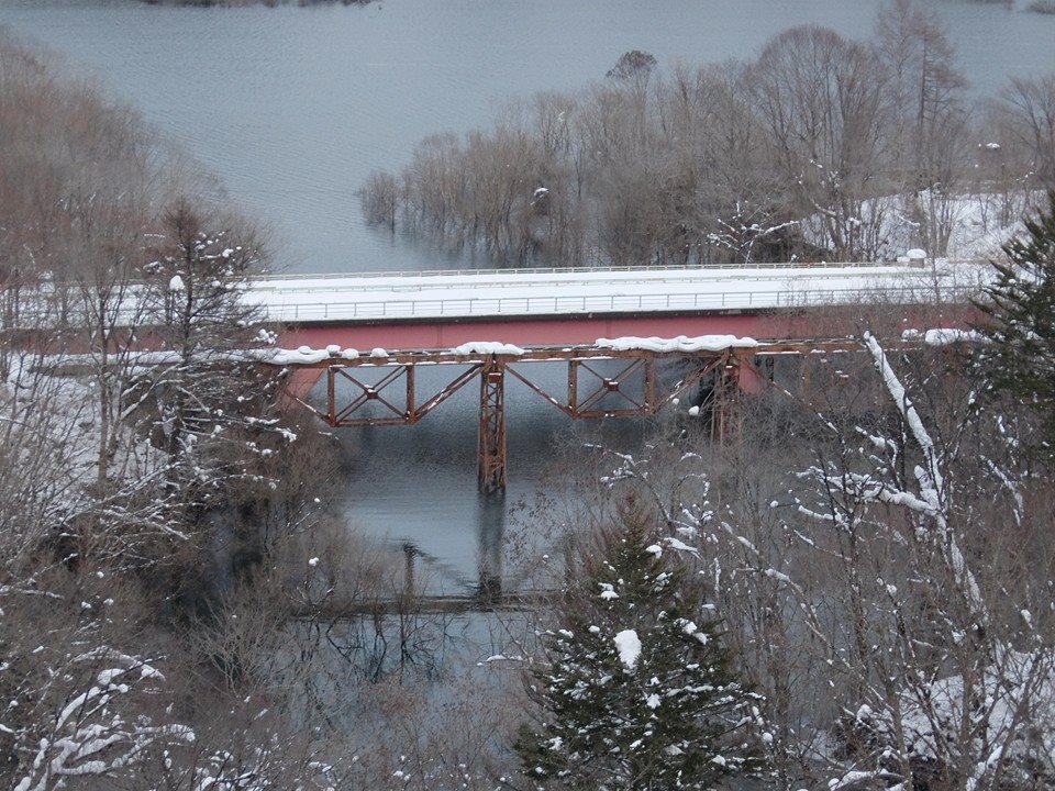 d0119909_15112831.jpg
