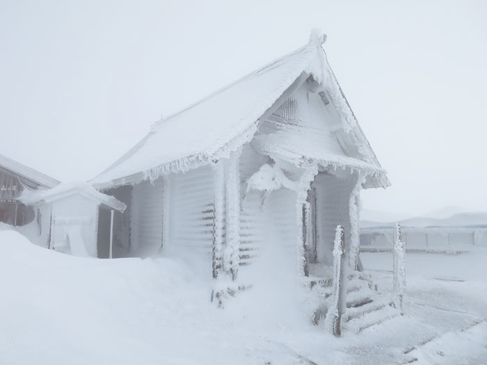 雪の伊吹山を登って来ました！_e0077010_21271345.jpg