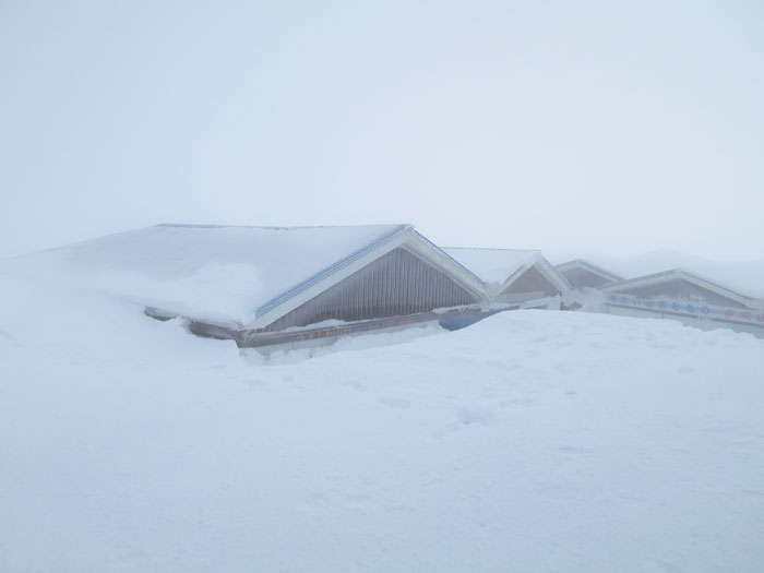 雪の伊吹山を登って来ました！_e0077010_21304730.jpg