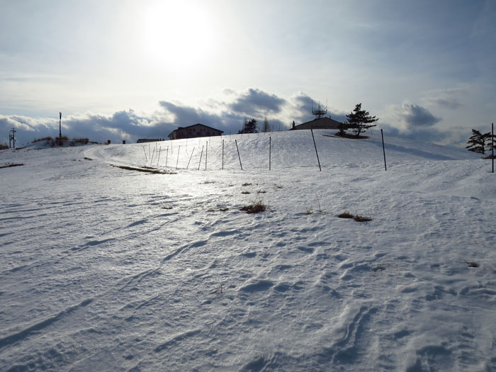 雪の伊吹山を登って来ました！_e0077010_2148497.jpg