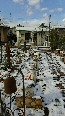 e0151420_1514457.jpg