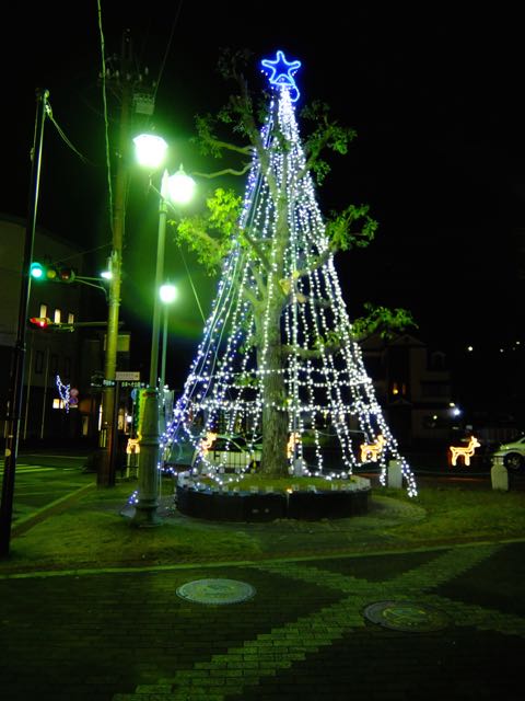 a0188023_70074.jpg