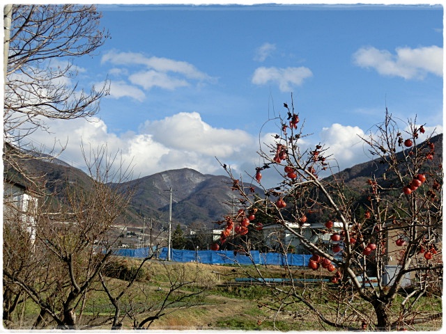 e0234924_1017512.jpg