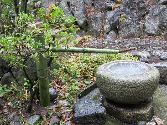 雨の中 筧 かけひ を交換しました Streamside