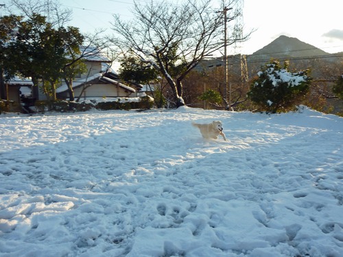 昨日は雪遊び♪_f0191932_11615100.jpg