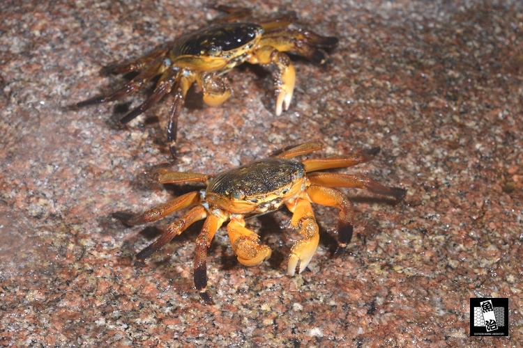 a0150039_5391567.jpg