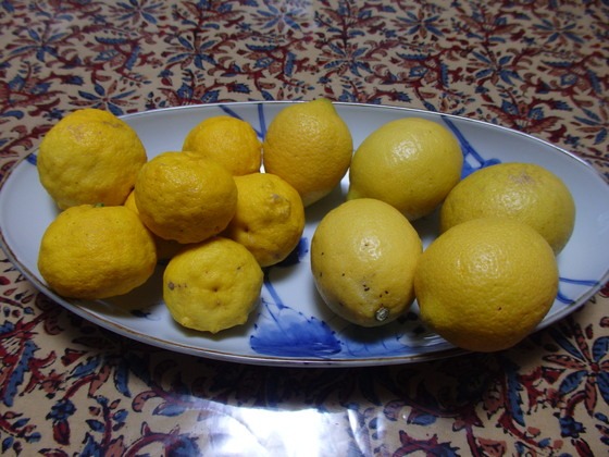 a0054240_229385.jpg
