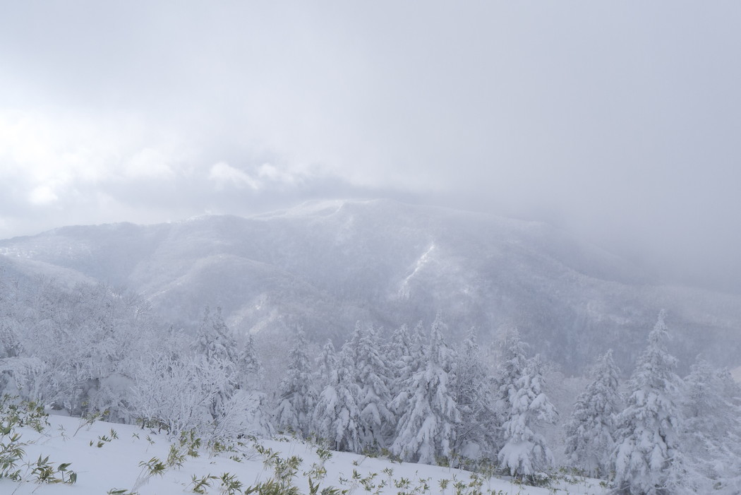 2014年12月21日　徳舜瞥山_c0210644_22205918.jpg