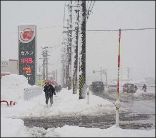 雪が降る降る・今日は冬至_f0333346_13563544.jpg