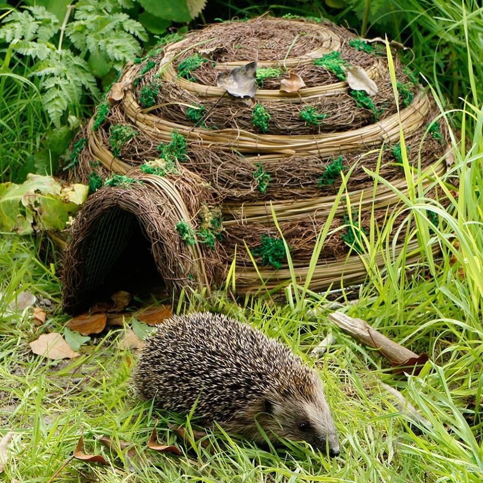 ハリネズミもクリスマスの準備 ブルーベルの森 ブログ 英国のハンドメイド陶器と雑貨の通販