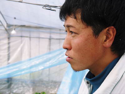 熊本イチゴ『さがほのか』 大好評発売中!!&奇跡の白いちごのお話し_a0254656_191528.jpg