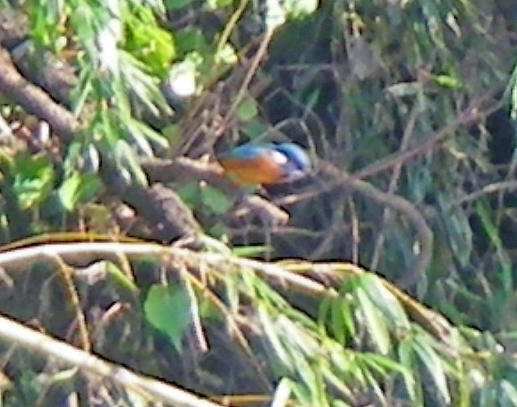 a0130057_11592.jpg
