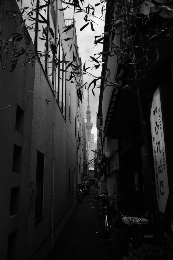 浅草街景 2_f0079061_2114644.jpg