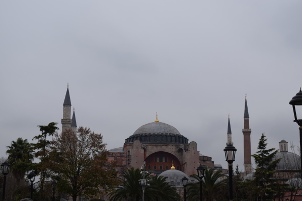 f0341967_16575722.jpg