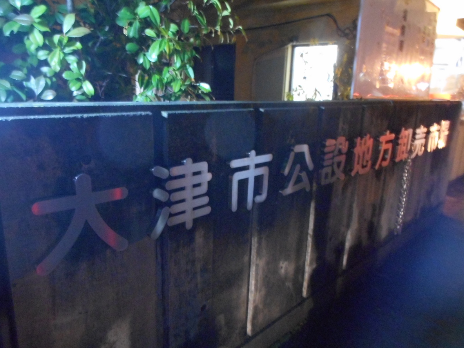 b0122182_18251346.jpg