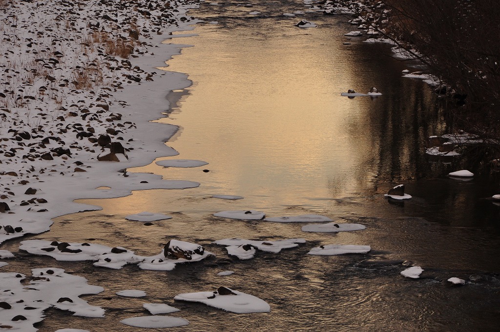 c0240388_9175655.jpg