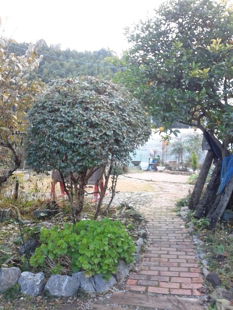 b0266191_10101398.jpg