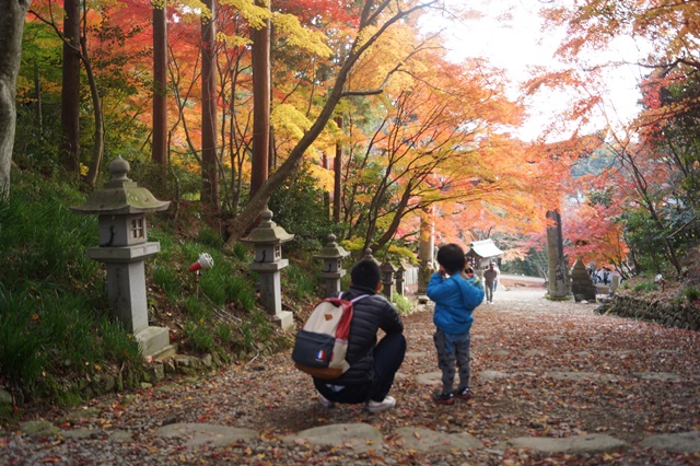 織田信長の歴史探訪胡宮神社の血ちぞめの紅葉(まみじ)真っ赤に染まった紅葉_d0181492_14165655.jpg