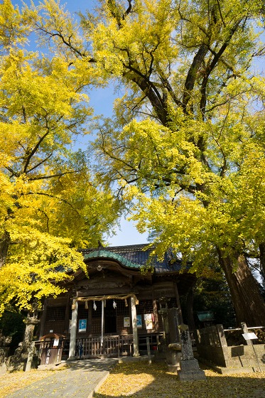 綾部八幡神社　①_e0176993_7422451.jpg