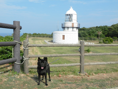 e0204795_953153.jpg