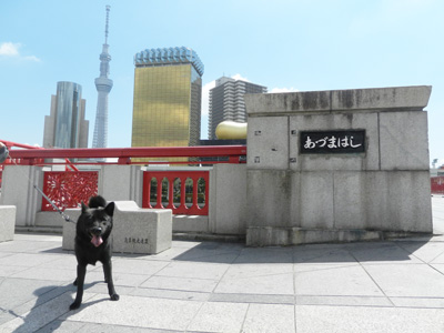 e0204795_957133.jpg