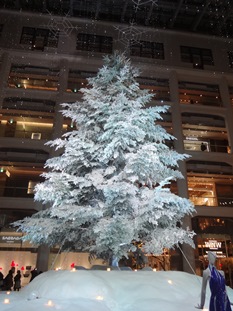 b0146196_0272970.jpg