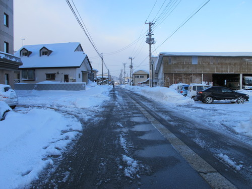 猛吹雪の翌朝の散歩　１２月２３日・・・１_c0075701_111375.jpg