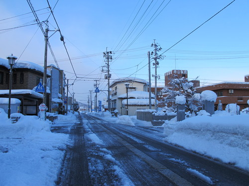 猛吹雪の翌朝の散歩　１２月２３日・・・１_c0075701_1114228.jpg