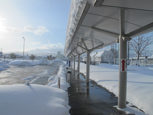 猛吹雪の翌朝の散歩　１２月２３日・・・１０_c0075701_17323932.jpg