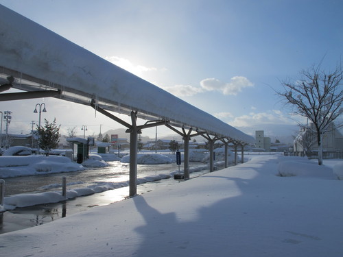 猛吹雪の翌朝の散歩　１２月２３日・・・１０_c0075701_17324328.jpg