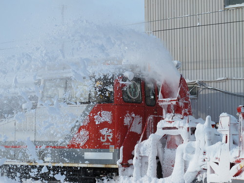 猛吹雪の翌朝の散歩　１２月２３日・・・１０_c0075701_17324787.jpg