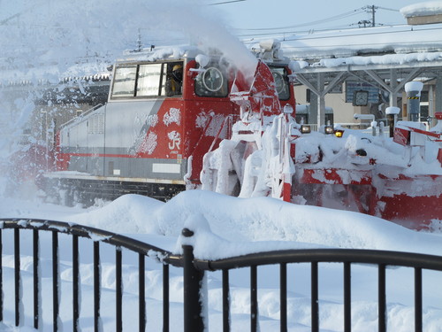 猛吹雪の翌朝の散歩　１２月２３日・・・１０_c0075701_17325485.jpg