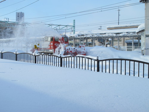 猛吹雪の翌朝の散歩　１２月２３日・・・１０_c0075701_17333966.jpg
